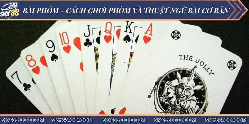 Bài phỏm Sky88 - Cách chơi phỏm và thuật ngữ bài cơ bản