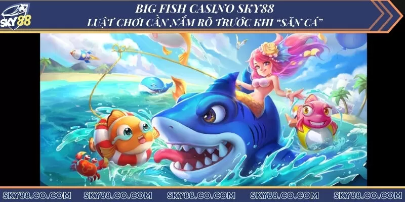 Big Fish Casino Sky88: Luật chơi cần nắm rõ trước khi “săn cá”