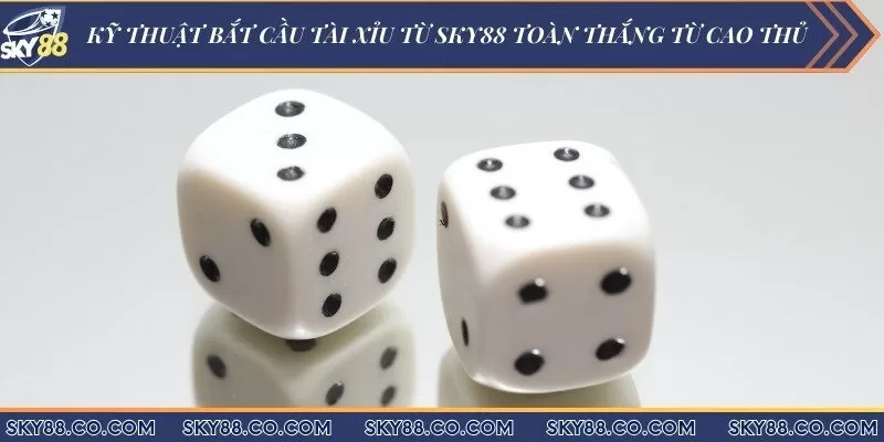 Kỹ thuật bắt cầu tài xỉu từ Sky88 toàn thắng từ cao thủ