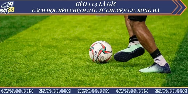 Kèo 1 1.5 là gì? Cách đọc kèo chính xác từ chuyên gia bóng đá
