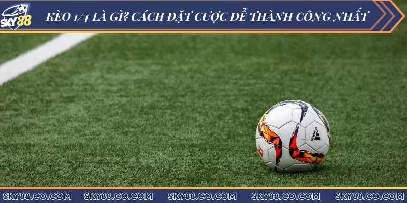 Kèo 1/4 là gì? Cách đặt cược dễ thành công nhất