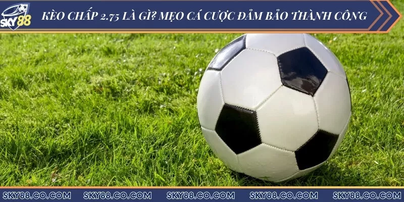 Kèo chấp 2.75 là gì? Mẹo cá cược đảm bảo thành công