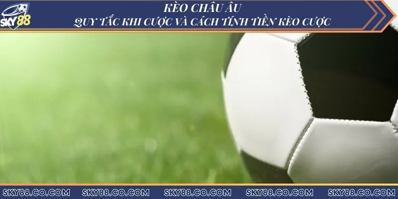 Kèo châu Âu - Quy tắc khi cược và cách tính tiền kèo cược