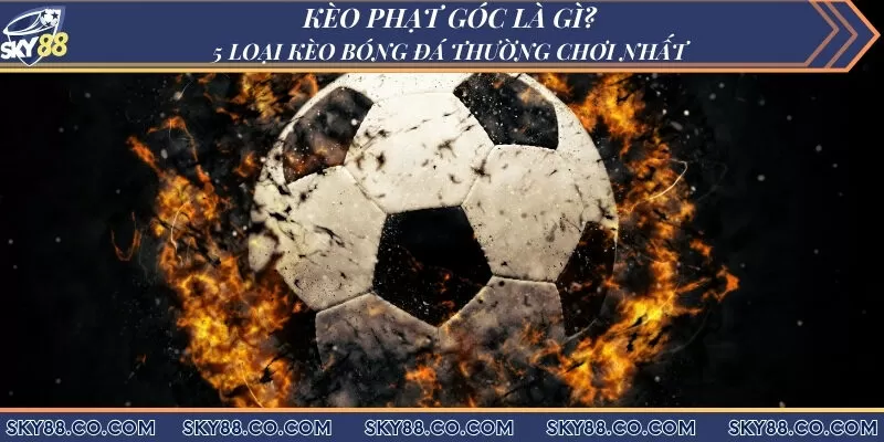 Kèo phạt góc là gì? 5 loại kèo bóng đá thường chơi nhất