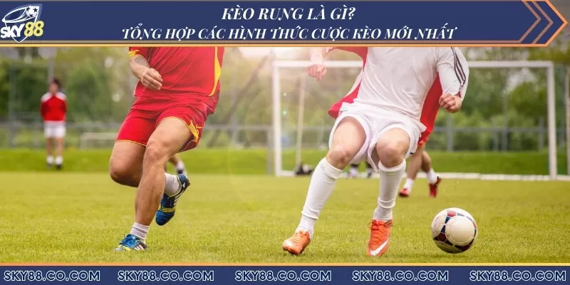 Kèo rung là gì? Tổng hợp các hình thức cược kèo mới nhất