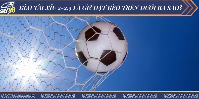 Kèo tài xỉu 2-2.5 là gì? Đặt kèo trên dưới ra sao?