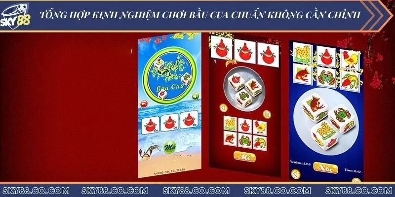 Tổng hợp kinh nghiệm chơi bầu cua chuẩn không cần chỉnh