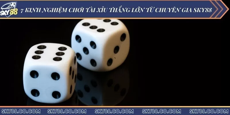 7 Kinh nghiệm chơi tài xỉu thắng lớn từ chuyên gia Sky88
