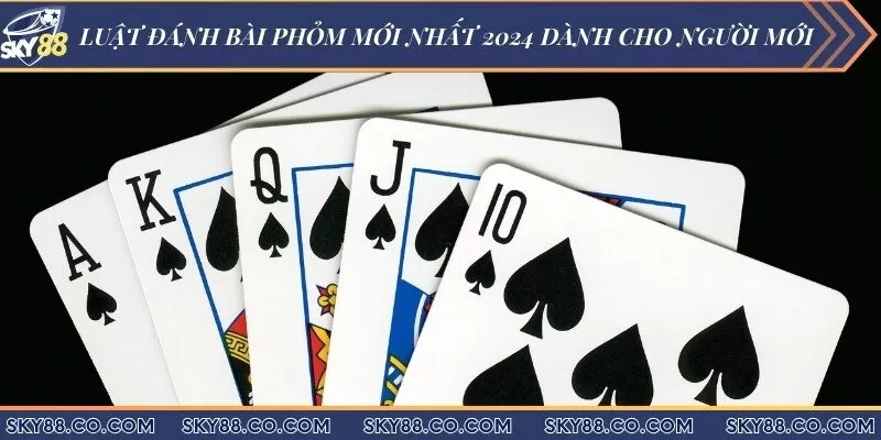 Luật đánh bài Phỏm mới nhất 2024 dành cho người mới